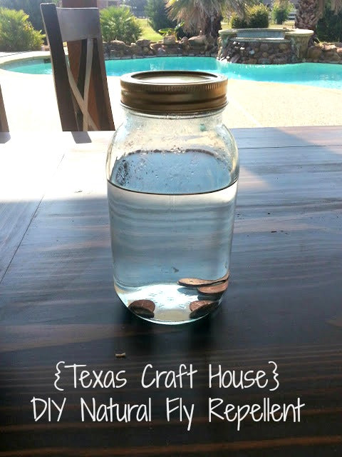 DIY Natural Fly Repellent